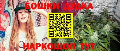 тгк Обь
